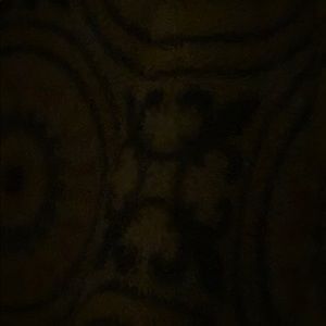 Meet your Posher, Cassandra